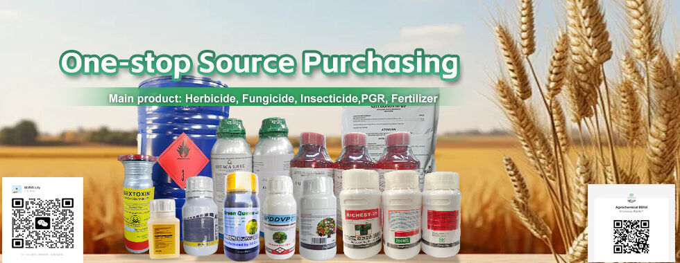 Insecticide contre les ravageurs