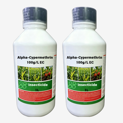 Alpha-cyperméthrine de haute pureté 10% CE (CAS: 67375-30-8) pesticide avec un effet knock-down rapide et un effet résiduel long.