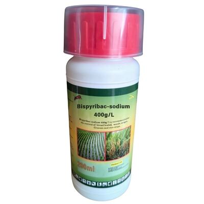 Bispyribac-sodium 400 g/l SC (CAS: 125401-92-5) concentrée en suspension, herbicide pyrimidinyl carboxylate à haute efficacité pour l'agriculture.