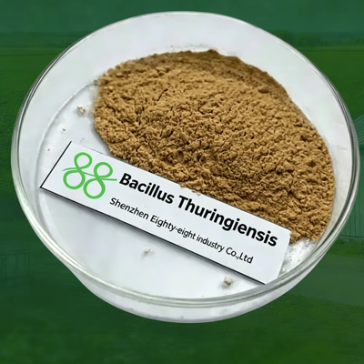Bacillus Thuringiensis 8000 IU/mg (CAS: 68038-70-0) biological pesticide , organnic pesticide power for pest control. biopesticide