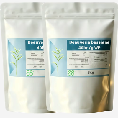 CAS 63428 82 0 Beauveria Bassiana Produit chimique biologique