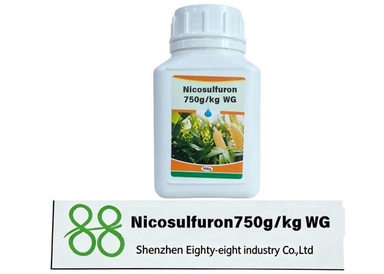Nicosulfuron 750g/kg WDG herbicide post-levée hautement efficace pour le maïs, WDG pour le contrôle des graminées, prix compétitif d'usine, commandes en gros et emballages personnalisés bienvenus.