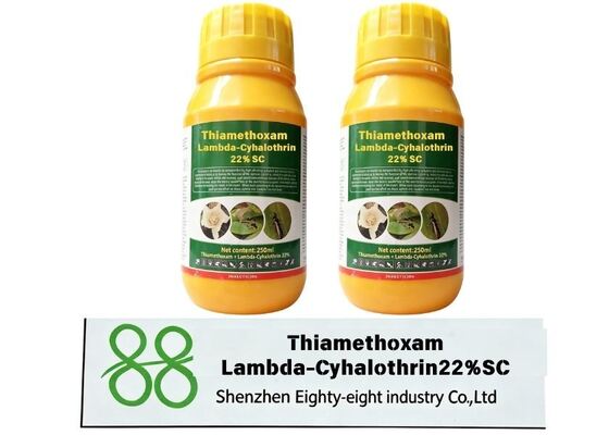 Thiaméthoxam lambda-cyhalothrine 22% SC Compound Suspension Concentré Insecticide à large spectre, systémique et en contact Pesticide synergique pour le contrôle des ravageurs par perçage, aspiration et mastication sur le coton de riz