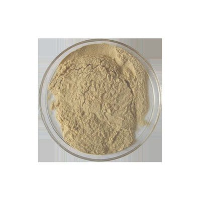 67892 13 1 10 milliards d'UFC s agricoles Métarhizium anisopliae ICAMA