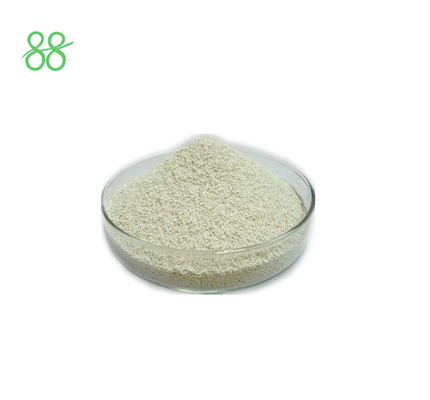 1 Méthylcyclopropène Hormone de croissance des plantes 1-MCP 3,3% WP 3100 04 7
