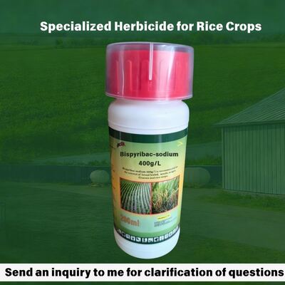 Bispyribac-sodium 400 g/l SC (CAS: 125401-92-5) concentrée en suspension, herbicide pyrimidinyl carboxylate à haute efficacité pour l'agriculture.