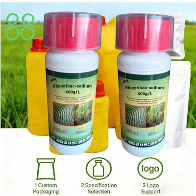 Bispyribac-sodium 400 g/l SC (CAS: 125401-92-5) concentrée en suspension, herbicide pyrimidinyl carboxylate à haute efficacité pour l'agriculture.