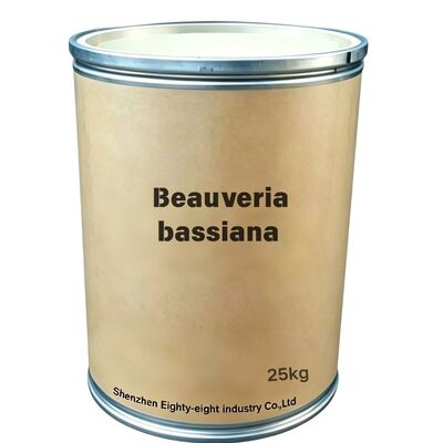 CAS 63428 82 0 Beauveria Bassiana Produit chimique biologique