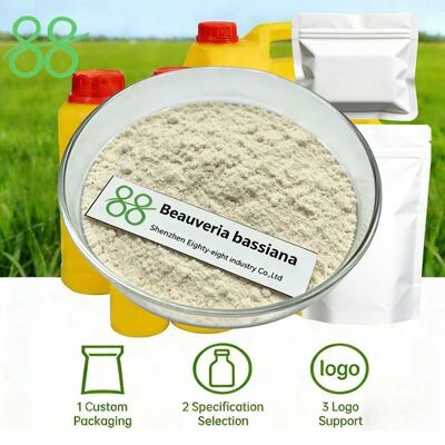CAS 63428 82 0 Beauveria Bassiana Produit chimique biologique