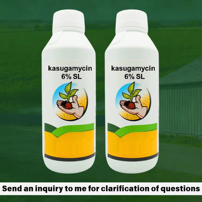 Kasugamycine 6% SL bactéricide liquide soluble systémique pour la gestion des maladies bactériennes des plantes, prix favorable en usine, emballage personnalisable pour l'achat en vrac.
