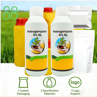 Kasugamycine 6% SL bactéricide liquide soluble systémique pour la gestion des maladies bactériennes des plantes, prix favorable en usine, emballage personnalisable pour l'achat en vrac.