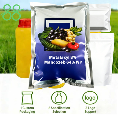 Metalaxyl 8% Mancozeb 64% WP Compound poudre humidifiable Fungicide, systémique et pesticide à contact pour le contrôle de la mildiou tardive sur les fruits et légumes