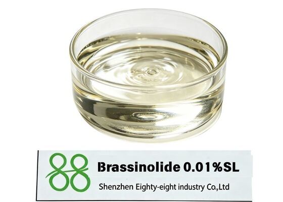Brassinolide 0,01% SL Régulateur de croissance des plantes Liquide soluble, stimuler la floraison des fruits et résistance au stress pour les légumes de riz Fruits, emballage personnalisé OEM d'usine