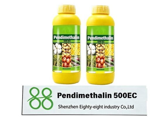 Pendiméthalin 500 CE Herbicide sélectif pré-émergent pour les champs d'arachides, de coton et de légumes Gestion annuelle des mauvaises herbes CAS 40487 42 1 Herbicides de lutte contre les mauvaises herbes