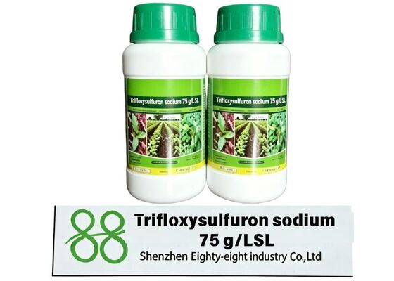 trifloxysulfuron-sodium 75g/L SL, herbicide liquide soluble, désherbant pour champs de canne à sucre, herbicide pour dicotylédones post-levée, herbicide sulfonylurée, produit agrochimique de lutte contre les laîches des terres hautes