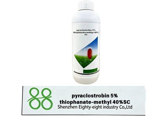 Dual active ingredients suspension concentrate fungicide. Combination de protection contre les contacts et effet curatif systémique, largement utilisé dans les fruitsCAS 23564 05 8 70% WP Thiophanate Methyl Fungicide