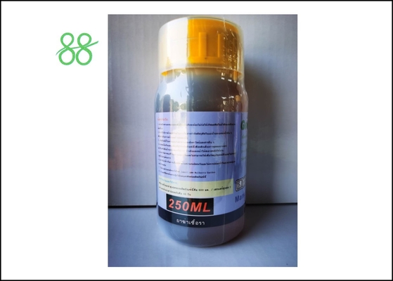 CAS 148477 71 8 24%SC Spirodiclofène Insecticide