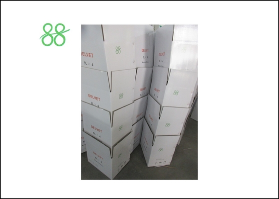 Daminozide B9 99%TC Hormone de croissance des plantes