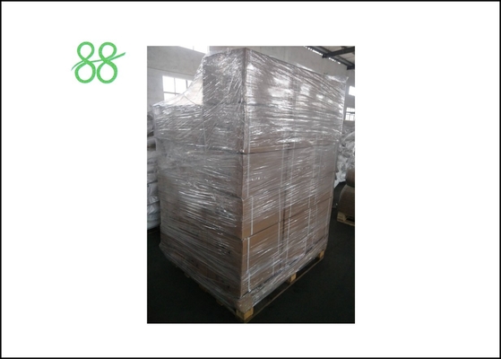 Niclosamide 50% WP poudre jaune Insecticide agricole