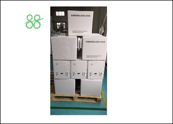 Acéphate 40%EC 98%TC Action Insecticide systémique CAS 96489-71-3