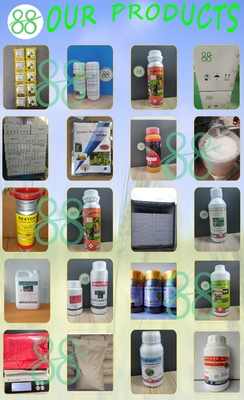 Fenpyroximate 50 g/l SC 95%TC Insecticide liquide de lutte contre les ravageurs
