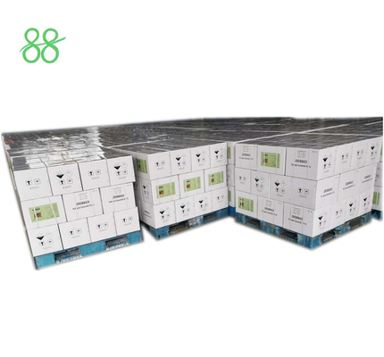 Stimulateur de racines de plantes fait maison Trinexapac Éthyl 25%ME