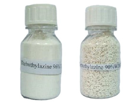 Terbuthylazine 87,5% WDG Herbicides contre les mauvaises herbes Cas 5915 41 3
