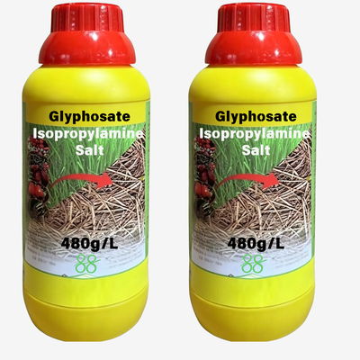 Glyphosate 360g/L 410g/L 480g/L 757SG Liquide soluble, 74.7% Granule soluble dans l'eau, 95% Concentré technique Herbicide agricole