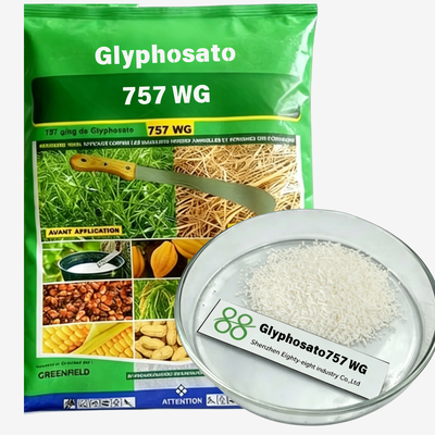 Glyphosate série 360g/L 410g/L 480g/L 510g/L 620g/L SL, 74,7% WSG/WDG, 75,7% WG, 95% TC Herbicide non sélectif désherbant