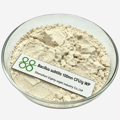 Bacillus subtilis 20 milliards de CFU Pesticide biologique