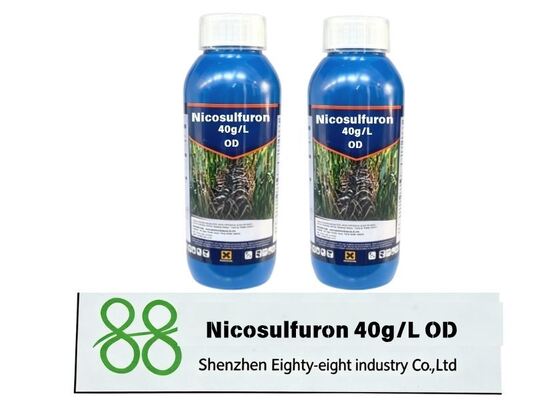 Nicosulfuron 750g/kg WDG herbicide post-levée hautement efficace pour le maïs, WDG pour le contrôle des graminées, prix compétitif d'usine, commandes en gros et emballages personnalisés bienvenus.