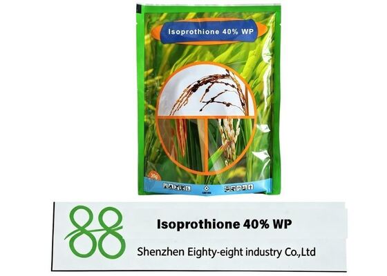 Isoprothiolane 40% WP Poudre Mouillable Fongicide Systémique Protecteur et Curatif, Pesticide Agricole pour la Pyriculariose du Riz,