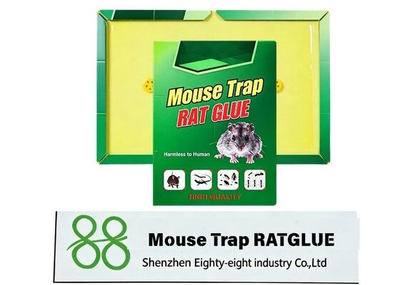 Piège à colle pour rats et souris, panneau adhésif super fort, piège jetable pour rongeurs à l'intérieur pour attraper les souris et les rats